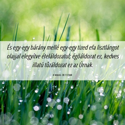 Picture 06 - 4 Mózes 28:13 KAR - És egy-egy bárány mellé egy-egy tized efa - Bible Verse Picture