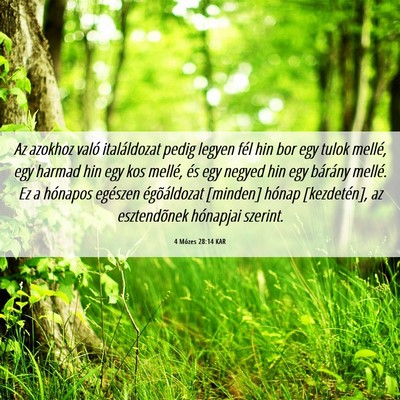 Picture 06 - 4 Mózes 28:14 KAR - Az azokhoz való italáldozat pedig legyen fél - Bible Verse Picture