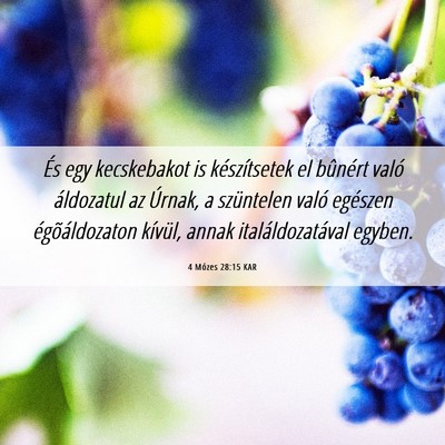 Picture 06 - 4 Mózes 28:15 KAR - És egy kecskebakot is készítsetek el bûnért - Bible Verse Picture
