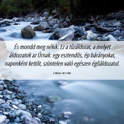 Picture 06 - 4 Mózes 28:3 KAR - És mondd meg nékik: Ez a tûzáldozat, a melyet - Bible Verse Picture