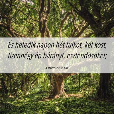 Picture 06 - 4 Mózes 29:32 KAR - És hetedik napon hét tulkot, két kost, - Bible Verse Picture
