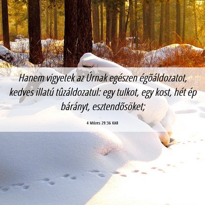 Picture 06 - 4 Mózes 29:36 KAR - Hanem vigyetek az Úrnak egészen - Bible Verse Picture