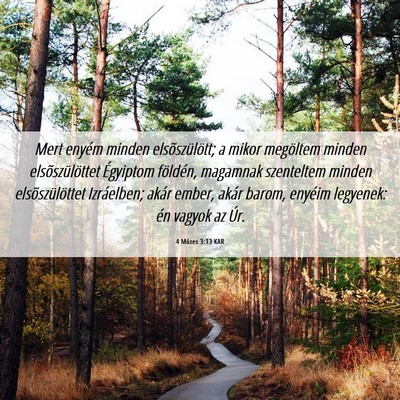 Picture 06 - 4 Mózes 3:13 KAR - Mert enyém minden elsõszülött; a mikor - Bible Verse Picture