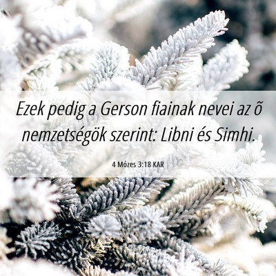 Picture 06 - 4 Mózes 3:18 KAR - Ezek pedig a Gerson fiainak nevei az õ - Bible Verse Picture