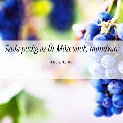 Picture 06 - 4 Mózes 3:5 KAR - Szóla pedig az Úr Mózesnek, - Bible Verse Picture