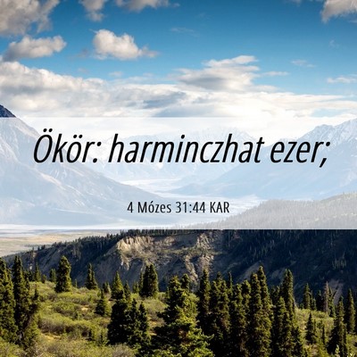 Picture 06 - 4 Mózes 31:44 KAR - Ökör: harminczhat - Bible Verse Picture