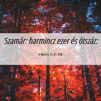 Picture 06 - 4 Mózes 31:45 KAR - Szamár: harmincz ezer és - Bible Verse Picture