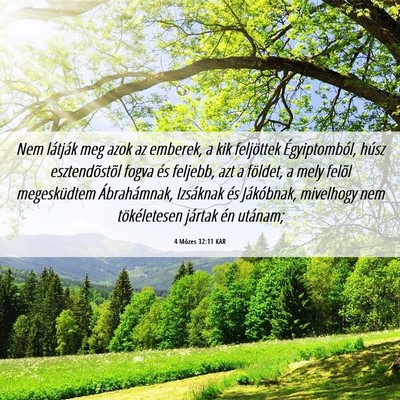 Picture 06 - 4 Mózes 32:11 KAR - Nem látják meg azok az emberek, a kik - Bible Verse Picture