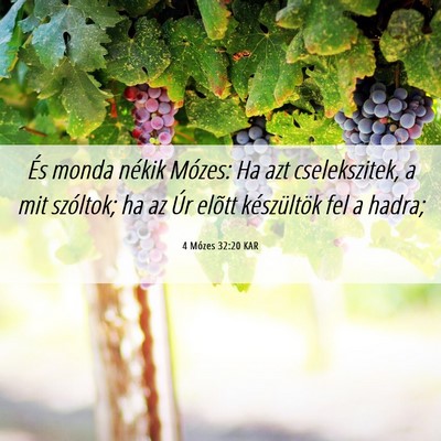 Picture 06 - 4 Mózes 32:20 KAR - És monda nékik Mózes: Ha azt cselekszitek, a - Bible Verse Picture