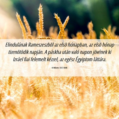 Picture 06 - 4 Mózes 33:3 KAR - Elindulának Rameszeszbõl az elsõ hónapban, az - Bible Verse Picture