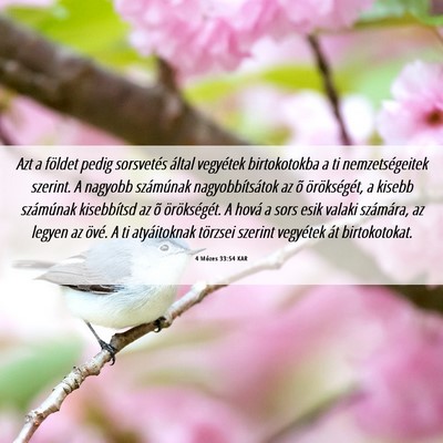 Picture 06 - 4 Mózes 33:54 KAR - Azt a földet pedig sorsvetés által vegyétek - Bible Verse Picture