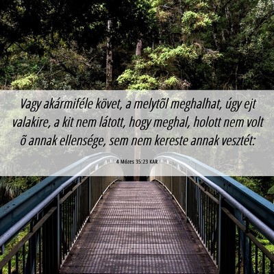 Picture 06 - 4 Mózes 35:23 KAR - Vagy akármiféle követ, a melytõl meghalhat, - Bible Verse Picture