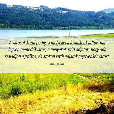 Picture 06 - 4 Mózes 35:6 KAR - A városok közül pedig, a melyeket a - Bible Verse Picture