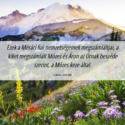 Picture 06 - 4 Mózes 4:45 KAR - Ezek a Mérári fiai nemzetségeinek - Bible Verse Picture