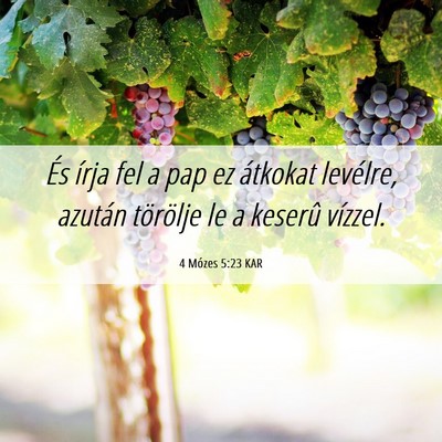 Picture 06 - 4 Mózes 5:23 KAR - És írja fel a pap ez átkokat levélre, azután - Bible Verse Picture