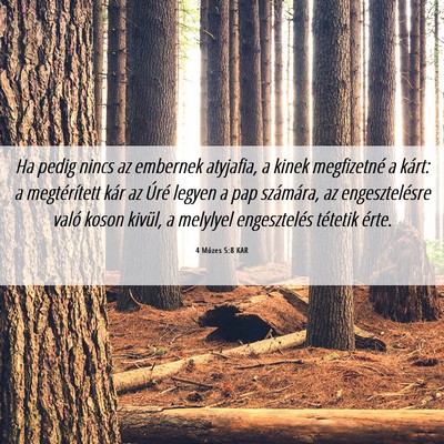 Picture 06 - 4 Mózes 5:8 KAR - Ha pedig nincs az embernek atyjafia, a kinek - Bible Verse Picture