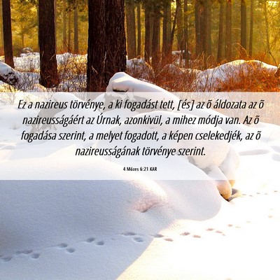 Picture 06 - 4 Mózes 6:21 KAR - Ez a nazireus törvénye, a ki fogadást tett, - Bible Verse Picture