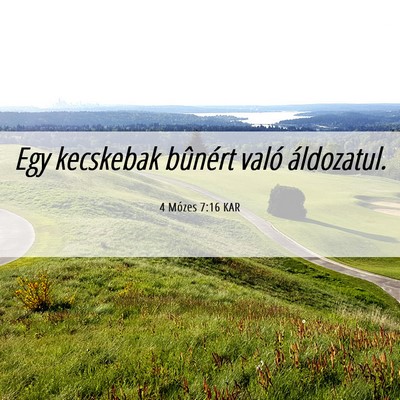 Picture 06 - 4 Mózes 7:16 KAR - Egy kecskebak bûnért való - Bible Verse Picture