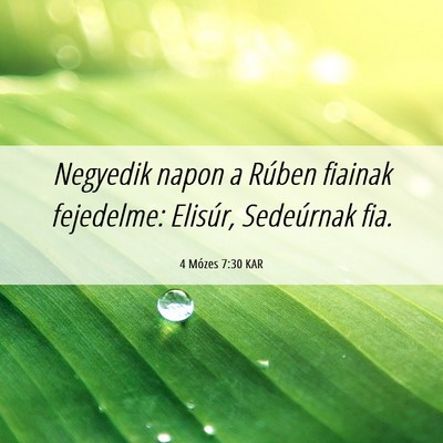 Picture 06 - 4 Mózes 7:30 KAR - Negyedik napon a Rúben fiainak fejedelme: - Bible Verse Picture