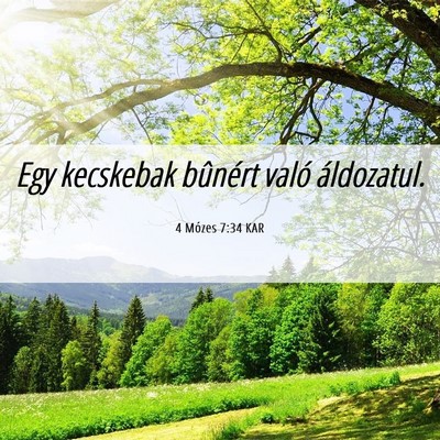 Picture 06 - 4 Mózes 7:34 KAR - Egy kecskebak bûnért való - Bible Verse Picture