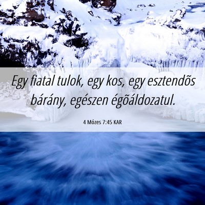 Picture 06 - 4 Mózes 7:45 KAR - Egy fiatal tulok, egy kos, egy esztendõs - Bible Verse Picture