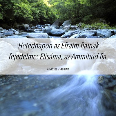 Picture 06 - 4 Mózes 7:48 KAR - Hetednapon az Efraim fiainak fejedelme: Elisáma, - Bible Verse Picture