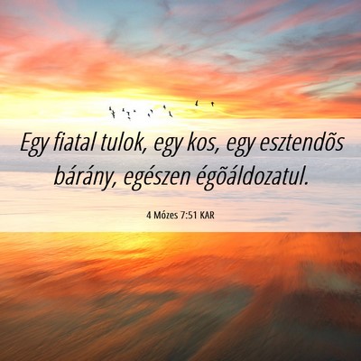 Picture 06 - 4 Mózes 7:51 KAR - Egy fiatal tulok, egy kos, egy esztendõs - Bible Verse Picture