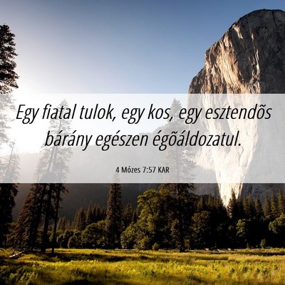 Picture 06 - 4 Mózes 7:57 KAR - Egy fiatal tulok, egy kos, egy esztendõs - Bible Verse Picture