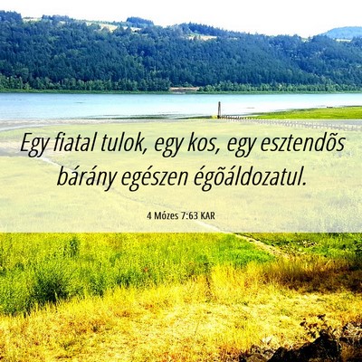 Picture 06 - 4 Mózes 7:63 KAR - Egy fiatal tulok, egy kos, egy esztendõs - Bible Verse Picture