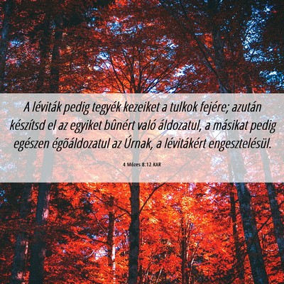 Picture 06 - 4 Mózes 8:12 KAR - A léviták pedig tegyék kezeiket a tulkok - Bible Verse Picture