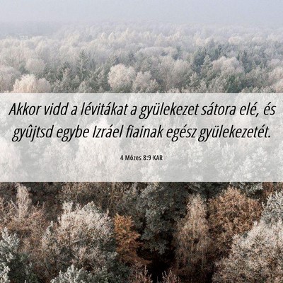 Picture 06 - 4 Mózes 8:9 KAR - Akkor vidd a lévitákat a gyülekezet sátora - Bible Verse Picture