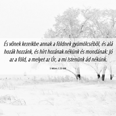 Picture 06 - 5 Mózes 1:25 KAR - És võnek kezeikbe annak a földnek - Bible Verse Picture
