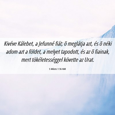 Picture 06 - 5 Mózes 1:36 KAR - Kivéve Kálebet, a Jefunné fiát; õ meglátja - Bible Verse Picture