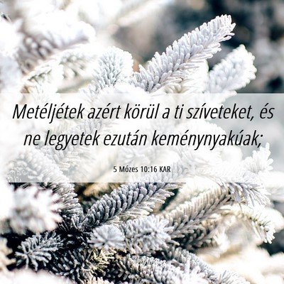 Picture 06 - 5 Mózes 10:16 KAR - Metéljétek azért körül a ti szíveteket, és - Bible Verse Picture