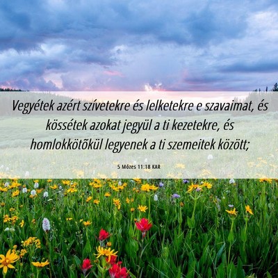 Picture 06 - 5 Mózes 11:18 KAR - Vegyétek azért szívetekre és lelketekre e - Bible Verse Picture