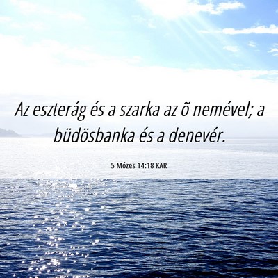 Picture 06 - 5 Mózes 14:18 KAR - Az eszterág és a szarka az õ nemével; a - Bible Verse Picture