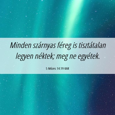 Picture 06 - 5 Mózes 14:19 KAR - Minden szárnyas féreg is tisztátalan legyen - Bible Verse Picture
