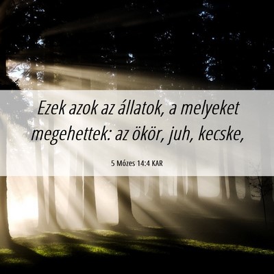 Picture 06 - 5 Mózes 14:4 KAR - Ezek azok az állatok, a melyeket megehettek: az - Bible Verse Picture