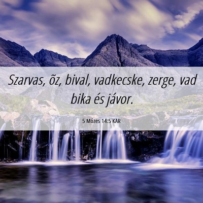 Picture 06 - 5 Mózes 14:5 KAR - Szarvas, õz, bival, vadkecske, zerge, vad bika - Bible Verse Picture