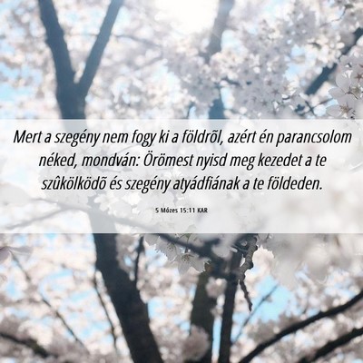 Picture 06 - 5 Mózes 15:11 KAR - Mert a szegény nem fogy ki a földrõl, azért - Bible Verse Picture