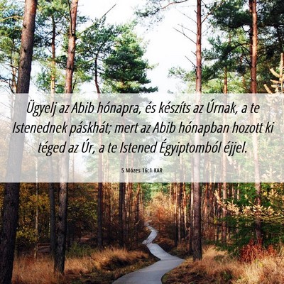 Picture 06 - 5 Mózes 16:1 KAR - Ügyelj az Abib hónapra, és készíts az - Bible Verse Picture