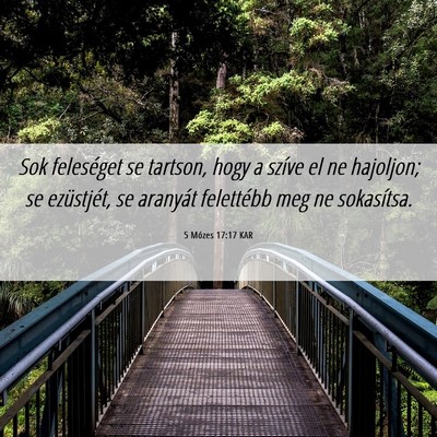 Picture 06 - 5 Mózes 17:17 KAR - Sok feleséget se tartson, hogy a szíve el ne - Bible Verse Picture