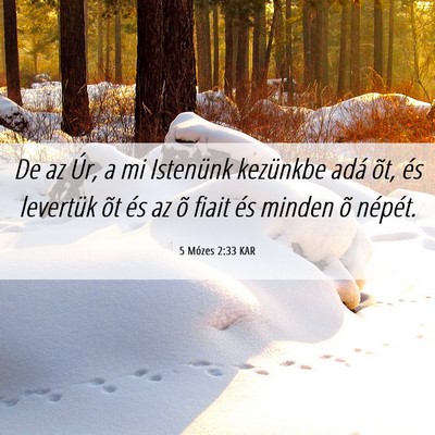 Picture 06 - 5 Mózes 2:33 KAR - De az Úr, a mi Istenünk kezünkbe adá õt, és - Bible Verse Picture
