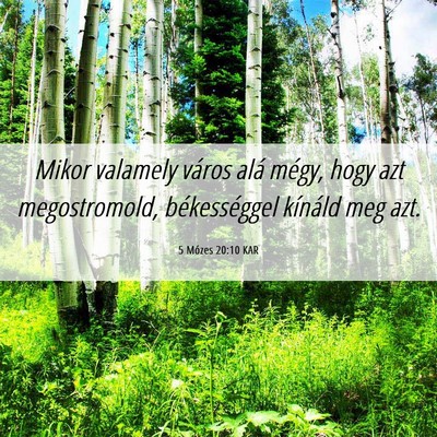 Picture 06 - 5 Mózes 20:10 KAR - Mikor valamely város alá mégy, hogy azt - Bible Verse Picture