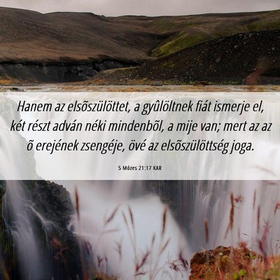 Picture 06 - 5 Mózes 21:17 KAR - Hanem az elsõszülöttet, a gyûlöltnek fiát - Bible Verse Picture