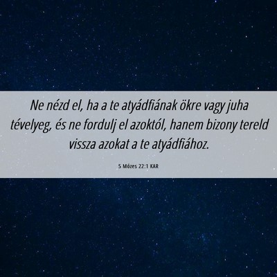 Picture 06 - 5 Mózes 22:1 KAR - Ne nézd el, ha a te atyádfiának ökre vagy - Bible Verse Picture