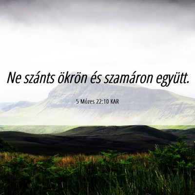 Picture 06 - 5 Mózes 22:10 KAR - Ne szánts ökrön és szamáron - Bible Verse Picture