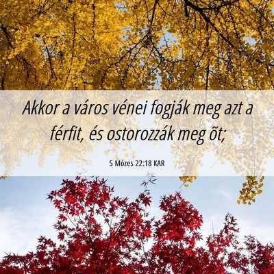 Picture 06 - 5 Mózes 22:18 KAR - Akkor a város vénei fogják meg azt a férfit, - Bible Verse Picture