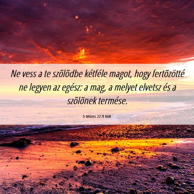 Picture 06 - 5 Mózes 22:9 KAR - Ne vess a te szõlõdbe kétféle magot, hogy - Bible Verse Picture