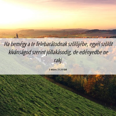 Picture 06 - 5 Mózes 23:24 KAR - Ha bemégy a te felebarátodnak szõlõjébe, - Bible Verse Picture